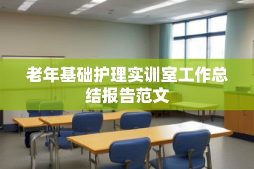 老年基础护理实训室工作总结报告范文