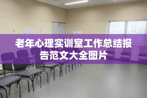 老年心理实训室工作总结报告范文大全图片