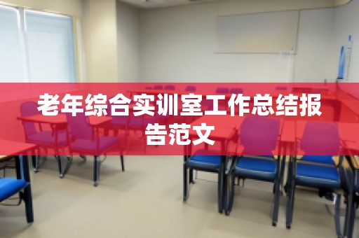 老年综合实训室工作总结报告范文
